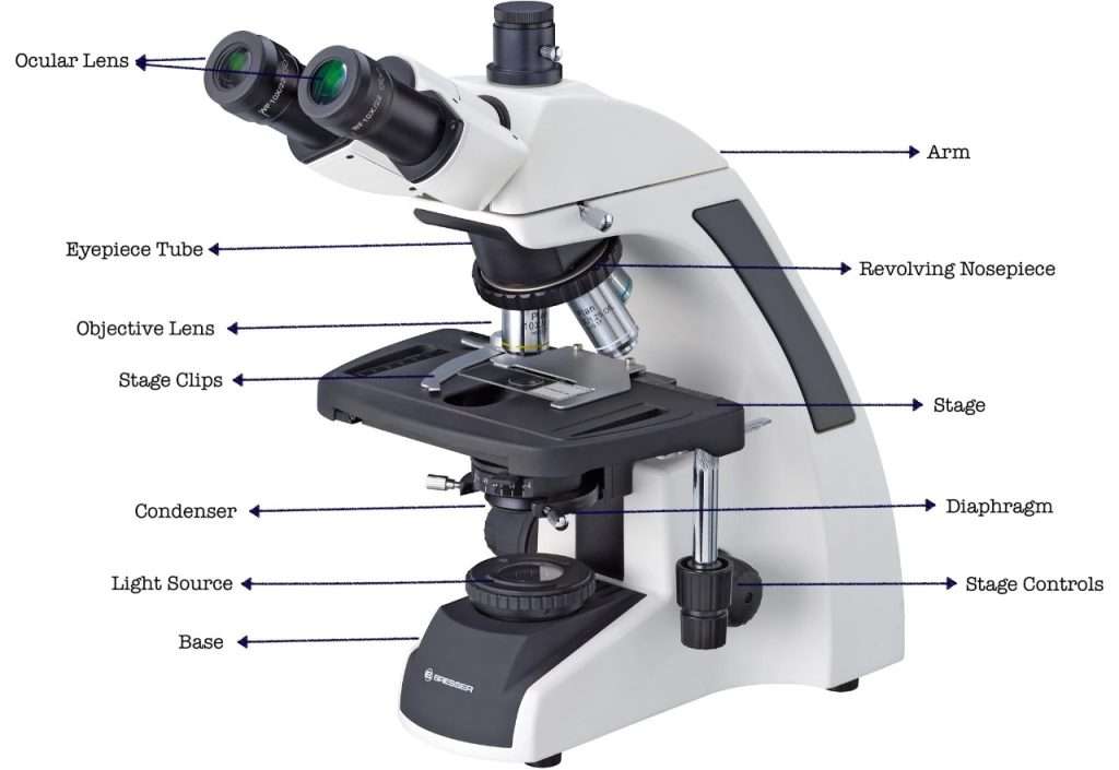parts of a microscope with functions