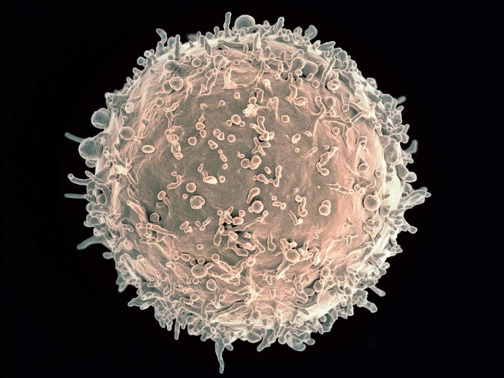 pic 12
