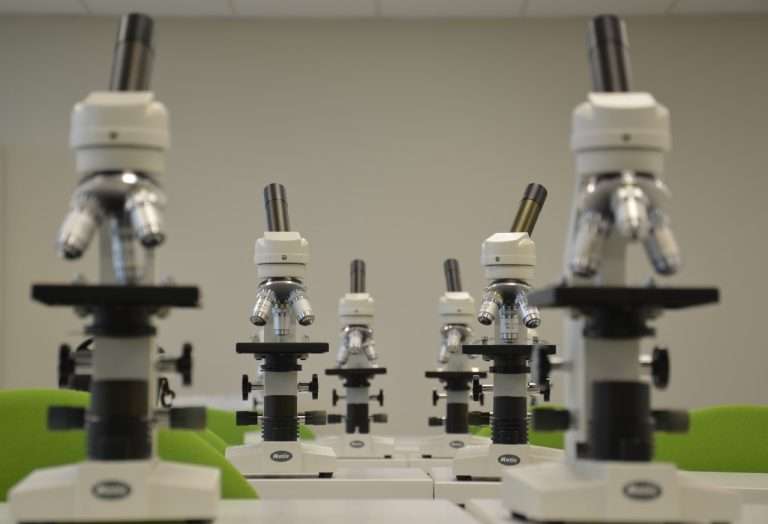 Different Types of Microscopes